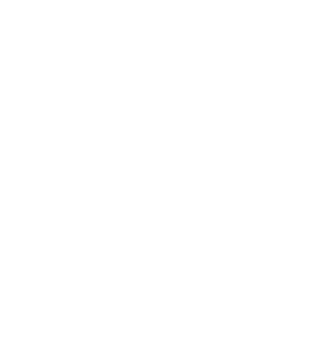 logo consultoria vortex